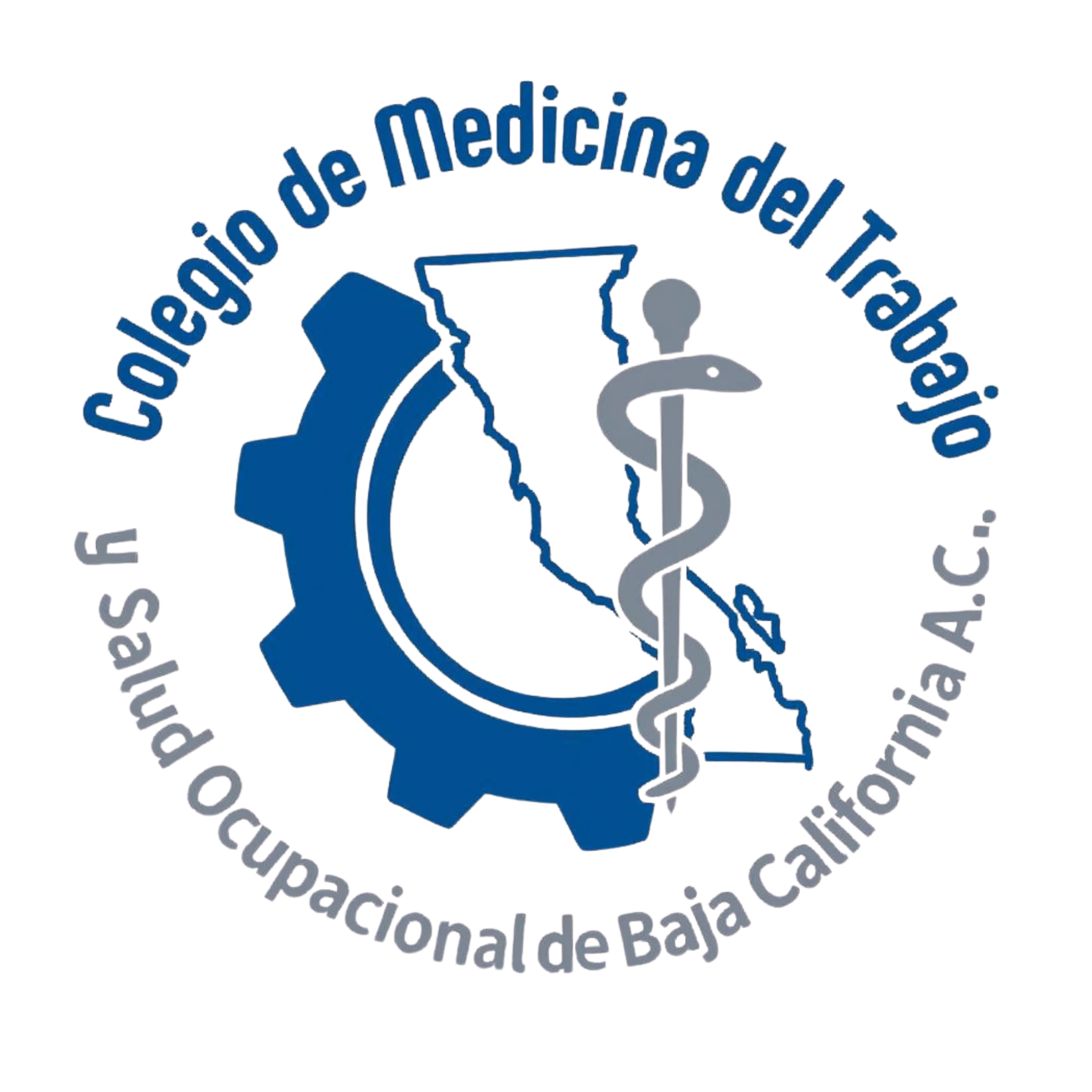 Colegio de medicina del trabajo y salud ocupacional del estado de baja California.